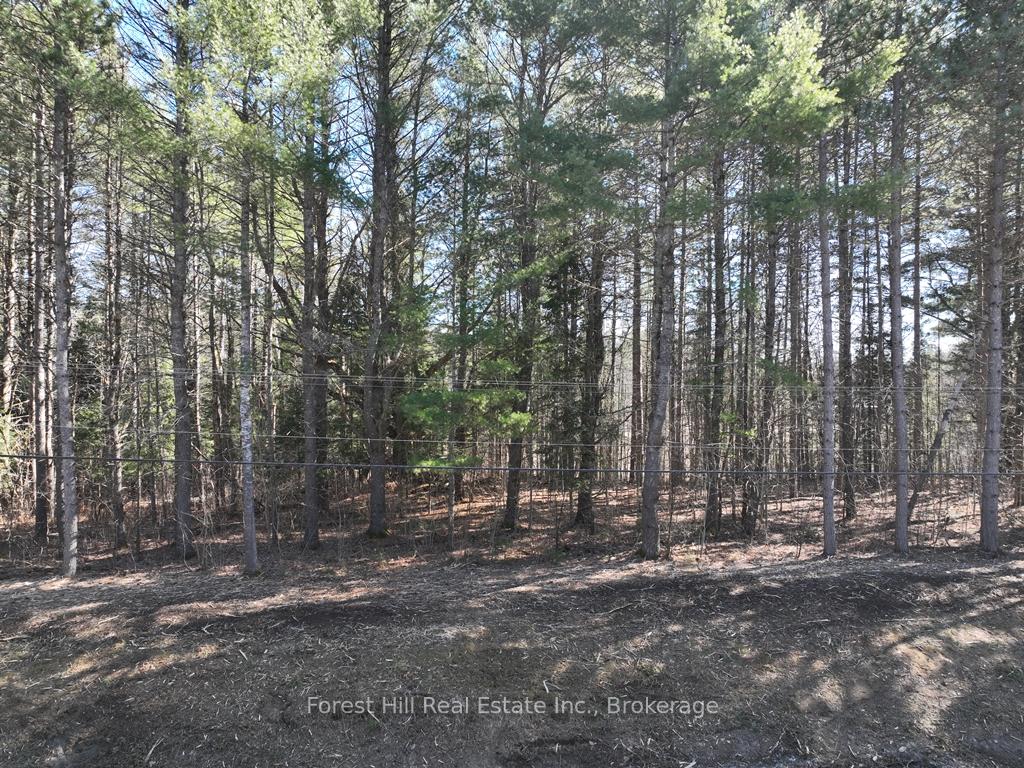 Photo 2 of Kushog Lake Road E, Minden Hills, Minden — HOMEH