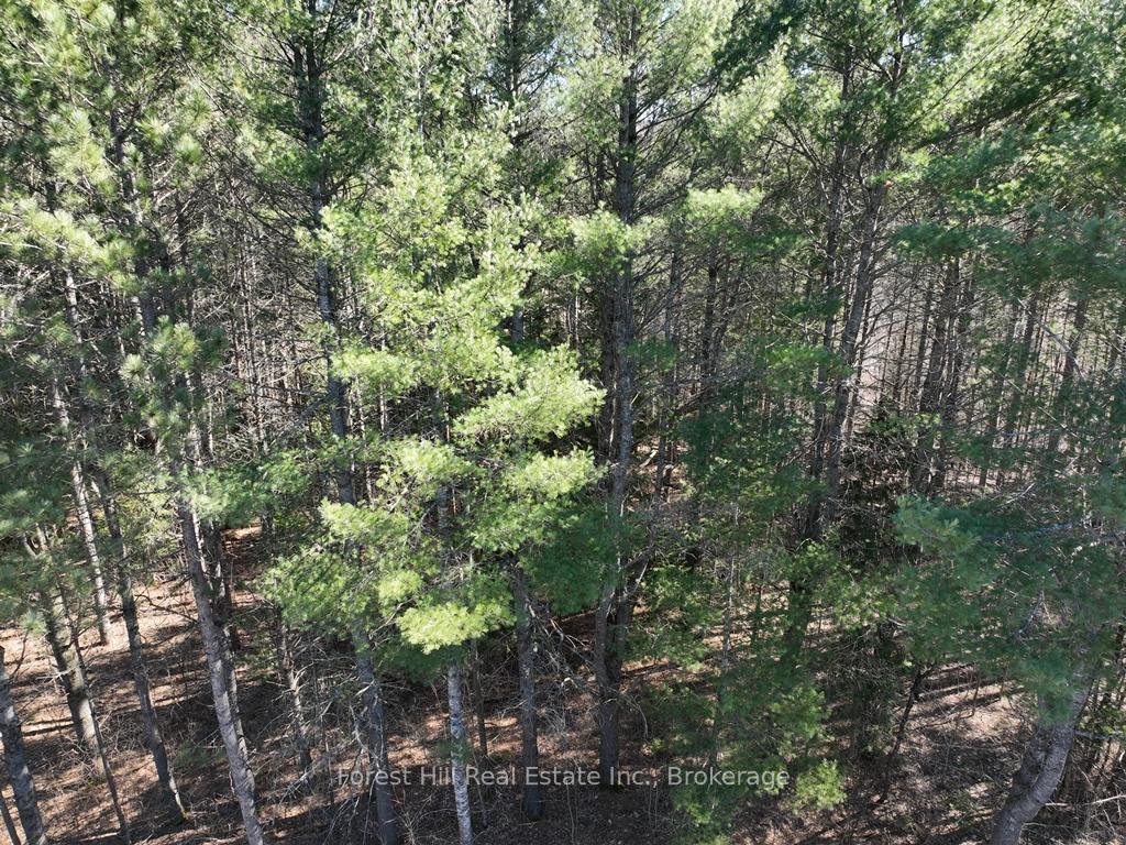Photo 4 of Kushog Lake Road E, Minden Hills, Minden — HOMEH