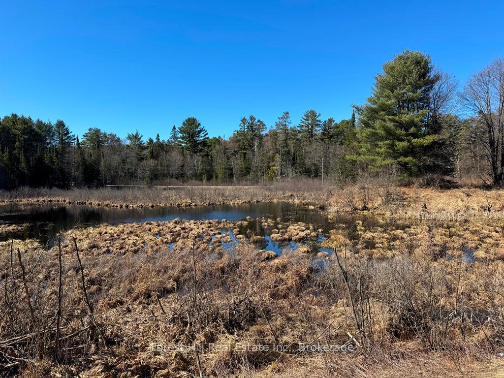 Photo 12 of Kushog Lake Road E, Minden Hills, Minden — HOMEH