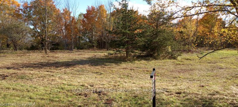 Photo 8 of 2183 Unity Road, Kingston, City North of 401 — HOMEH