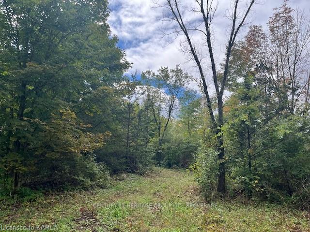 Photo 10 of 2183 Unity Road, Kingston, City North of 401 — HOMEH