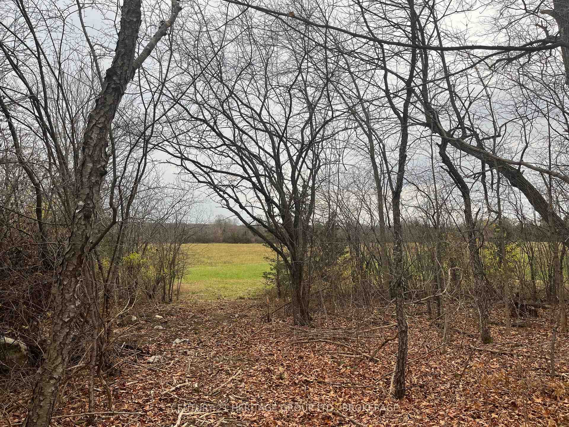 Photo 13 of 2183 Unity Road, Kingston, City North of 401 — HOMEH