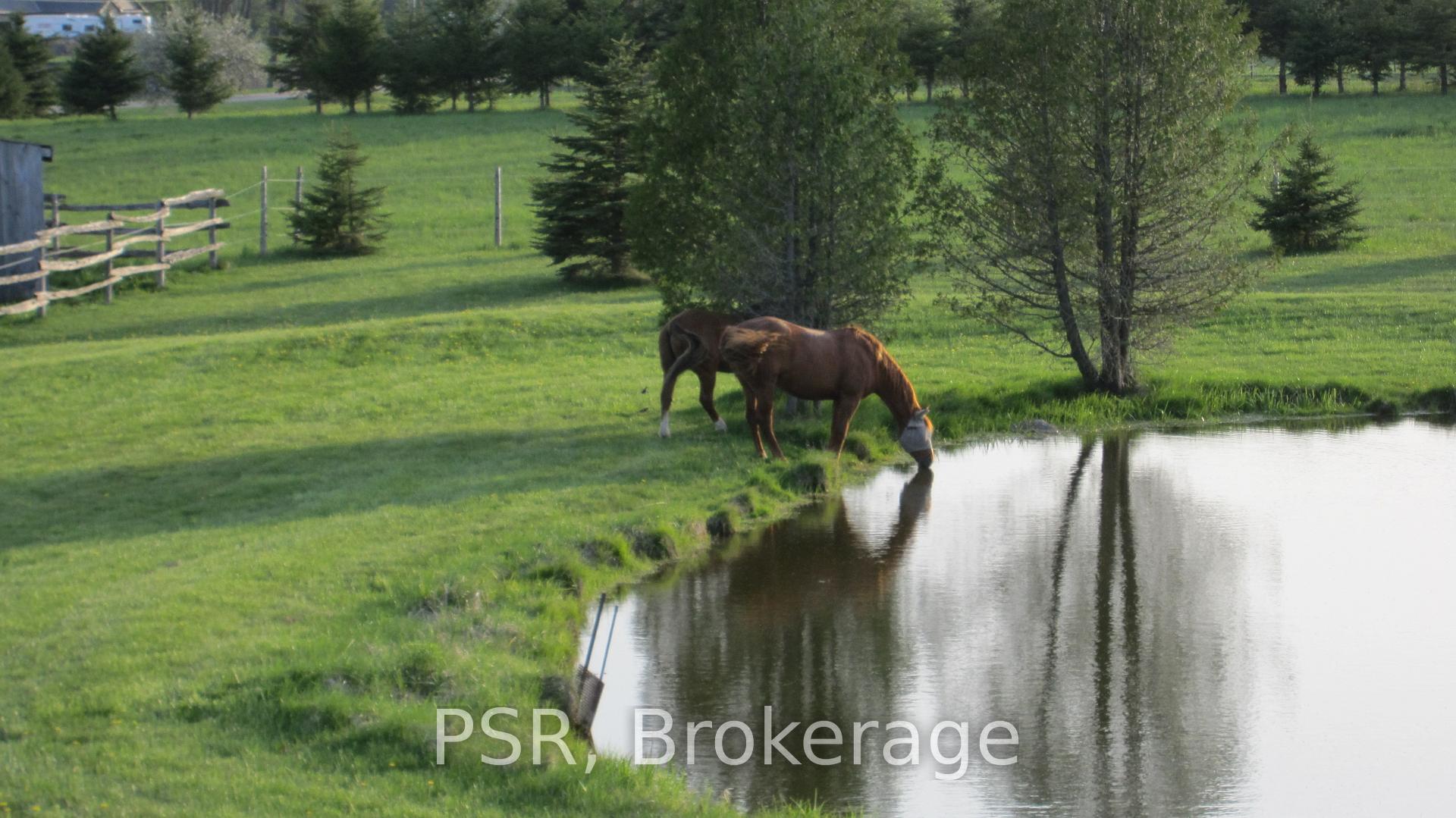 Photo 38 of 426121 25 Sideroad, Mono, Rural Mono — HOMEH