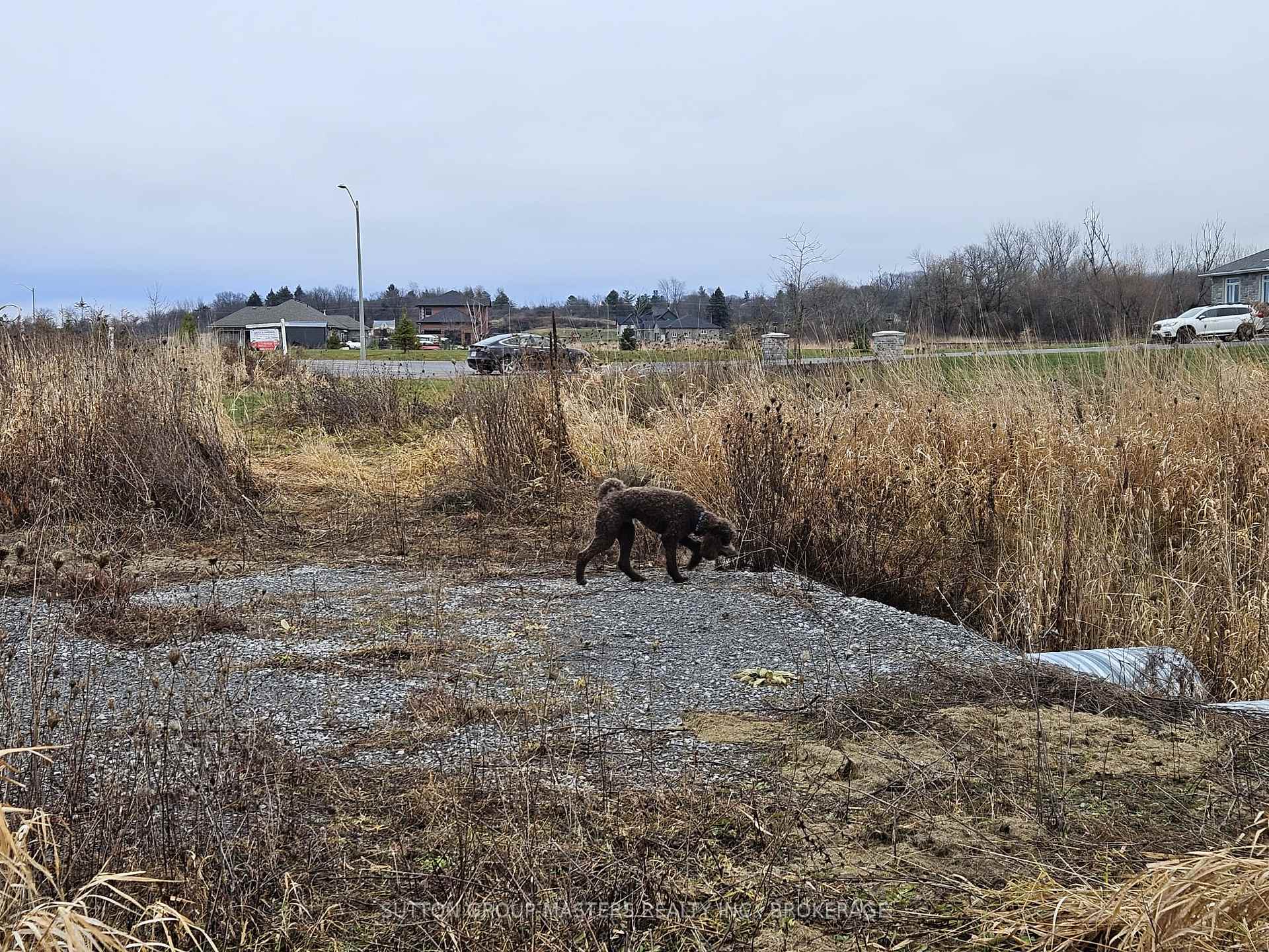 Photo 4 of 213 Mann Drive, Kingston, City North of 401 — HOMEH