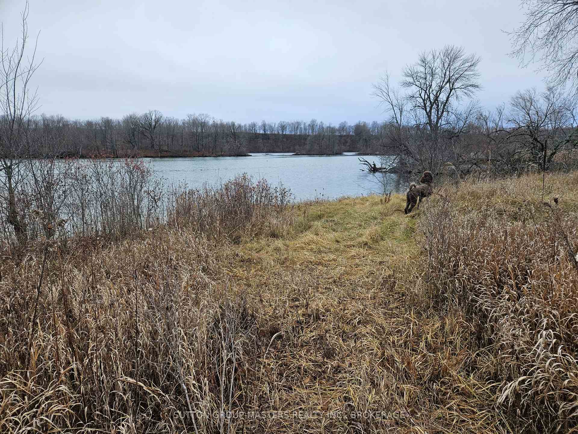 Photo 5 of 213 Mann Drive, Kingston, City North of 401 — HOMEH