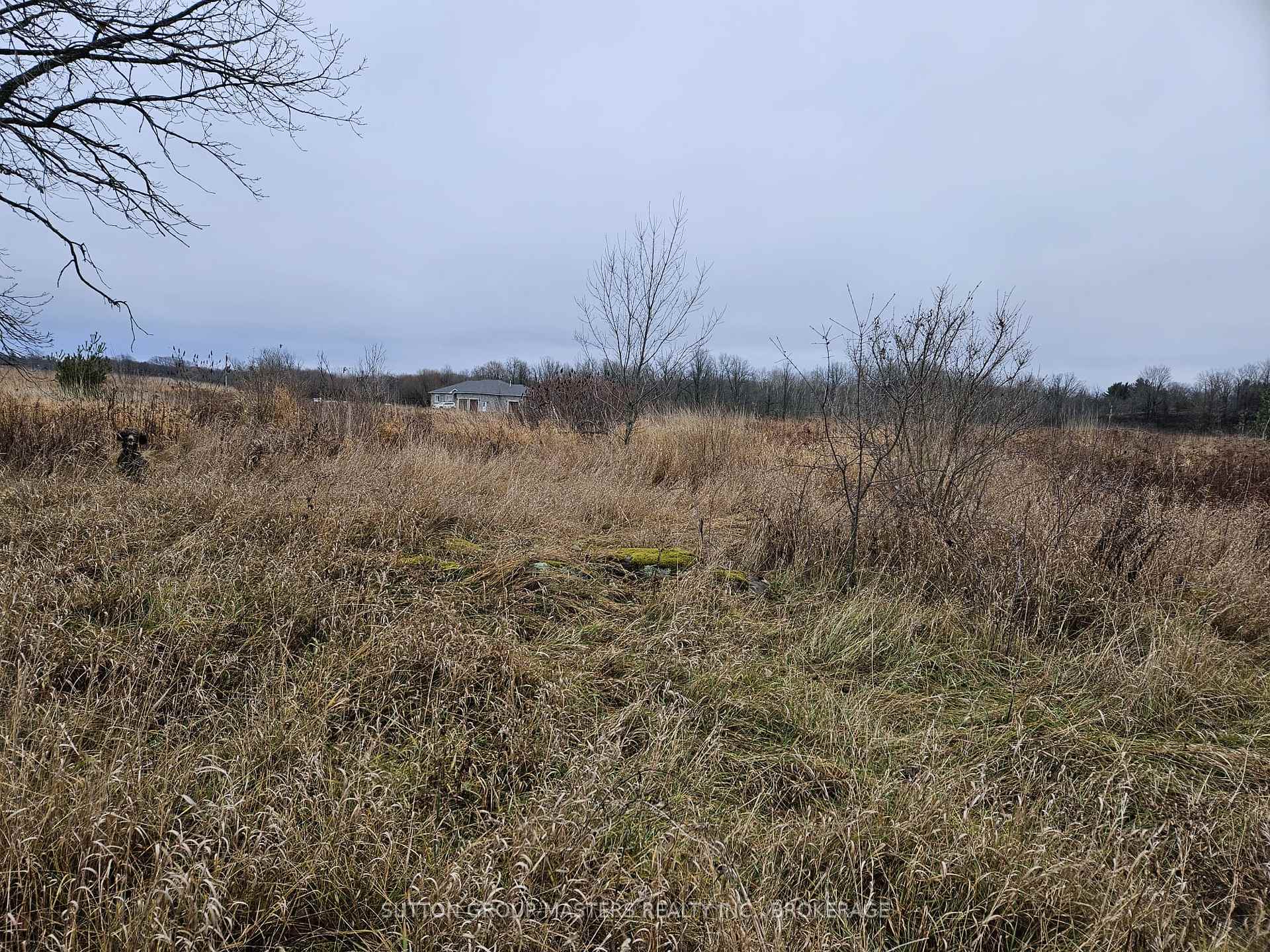 Photo 6 of 213 Mann Drive, Kingston, City North of 401 — HOMEH