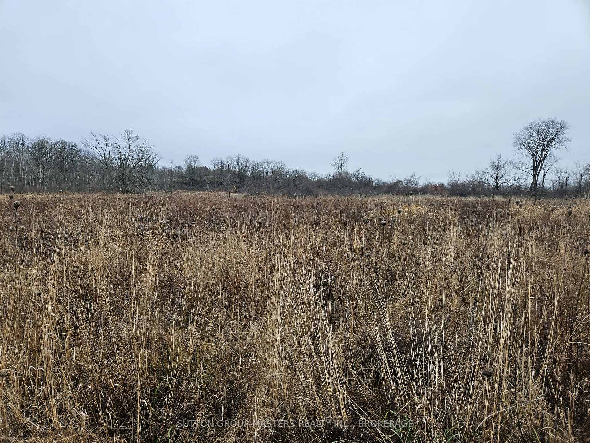 Photo 10 of 213 Mann Drive, Kingston, City North of 401 — HOMEH
