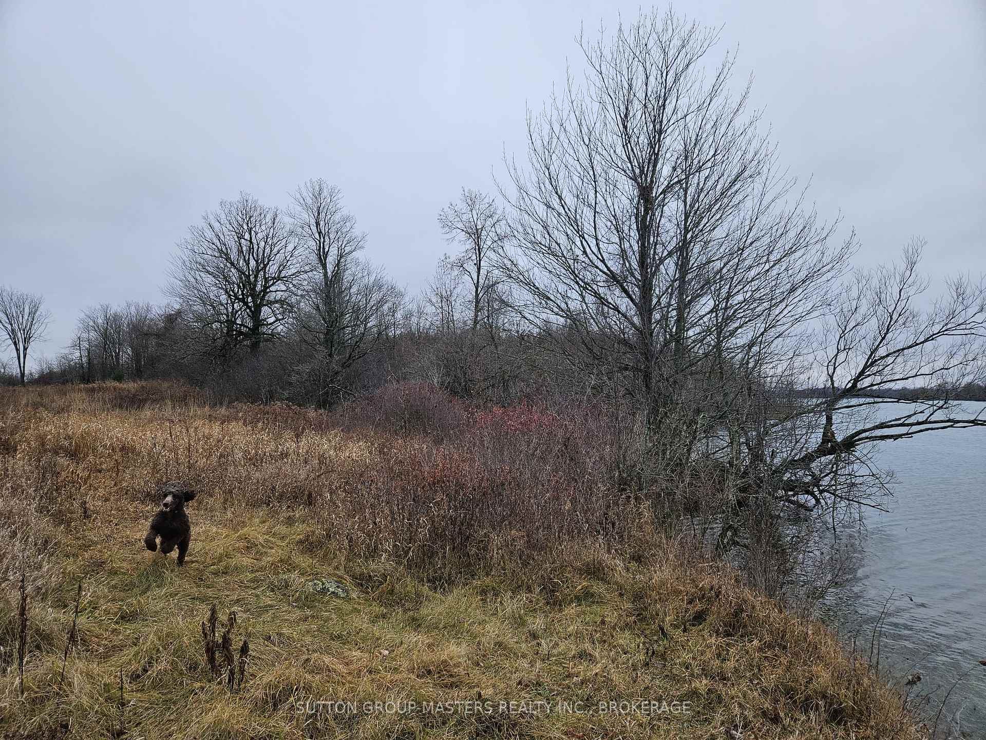 Photo 11 of 213 Mann Drive, Kingston, City North of 401 — HOMEH