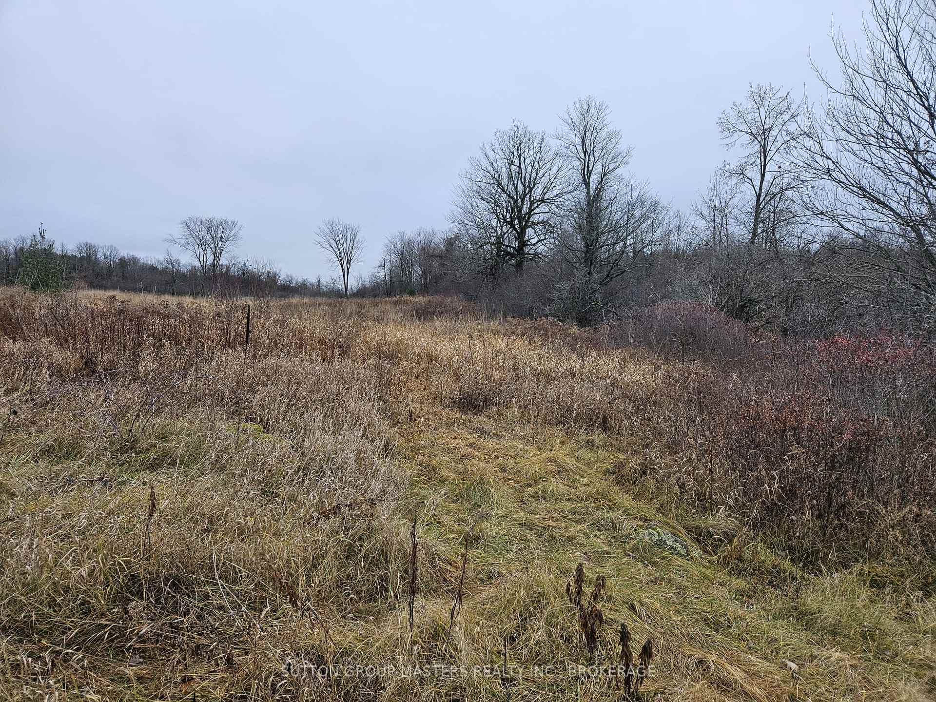 Photo 13 of 213 Mann Drive, Kingston, City North of 401 — HOMEH