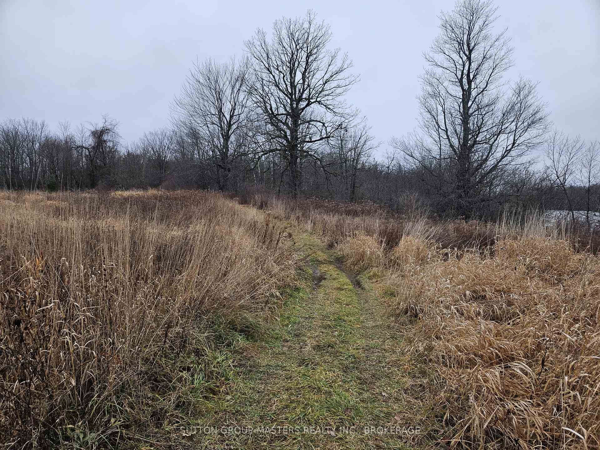 Photo 14 of 213 Mann Drive, Kingston, City North of 401 — HOMEH