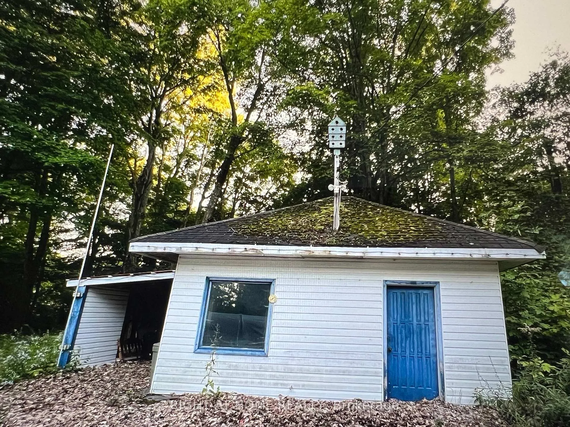 Photo 8 of 1203 Everton Road, Midland — HOMEH