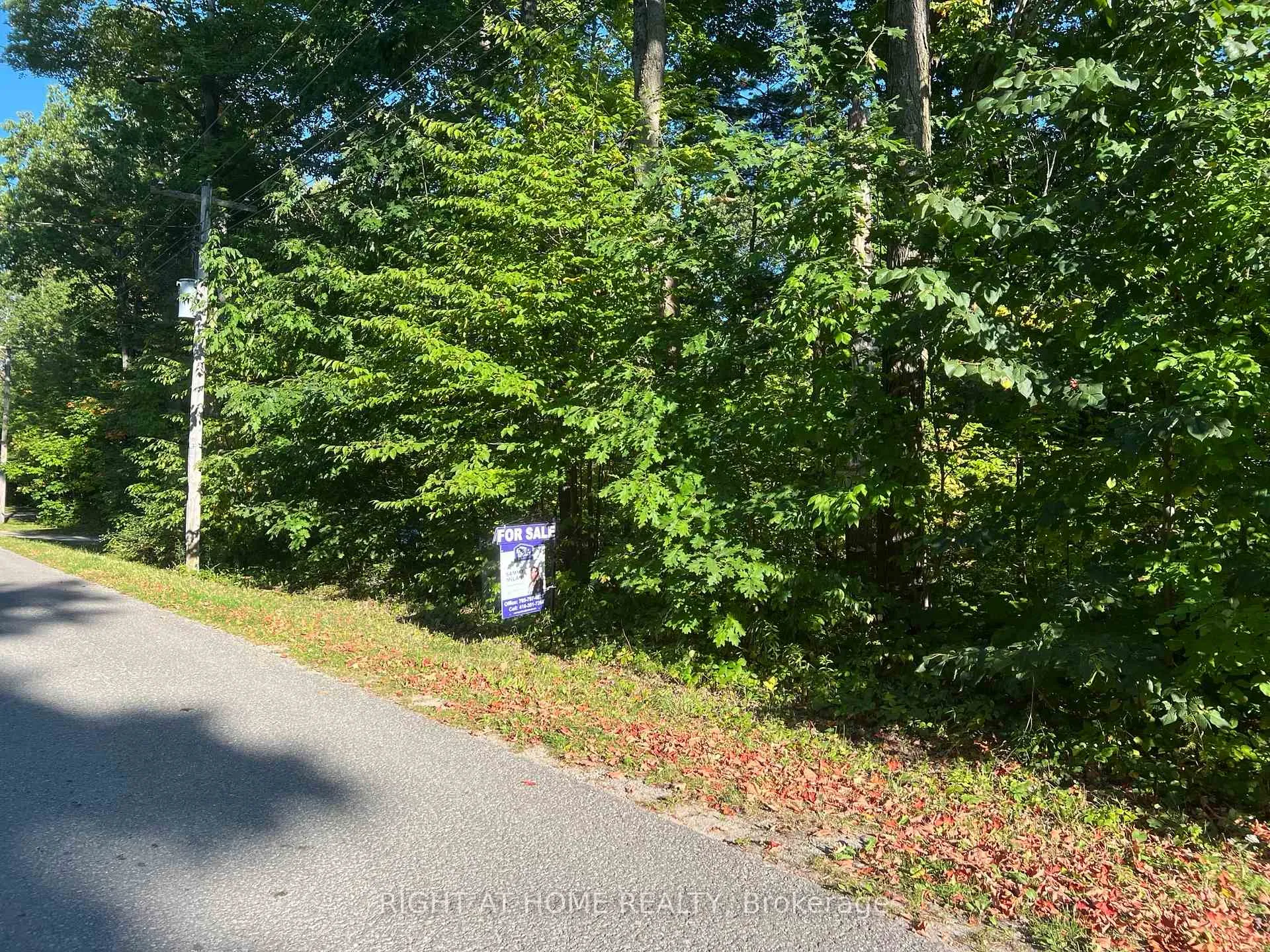 Photo 11 of 1203 Everton Road, Midland — HOMEH