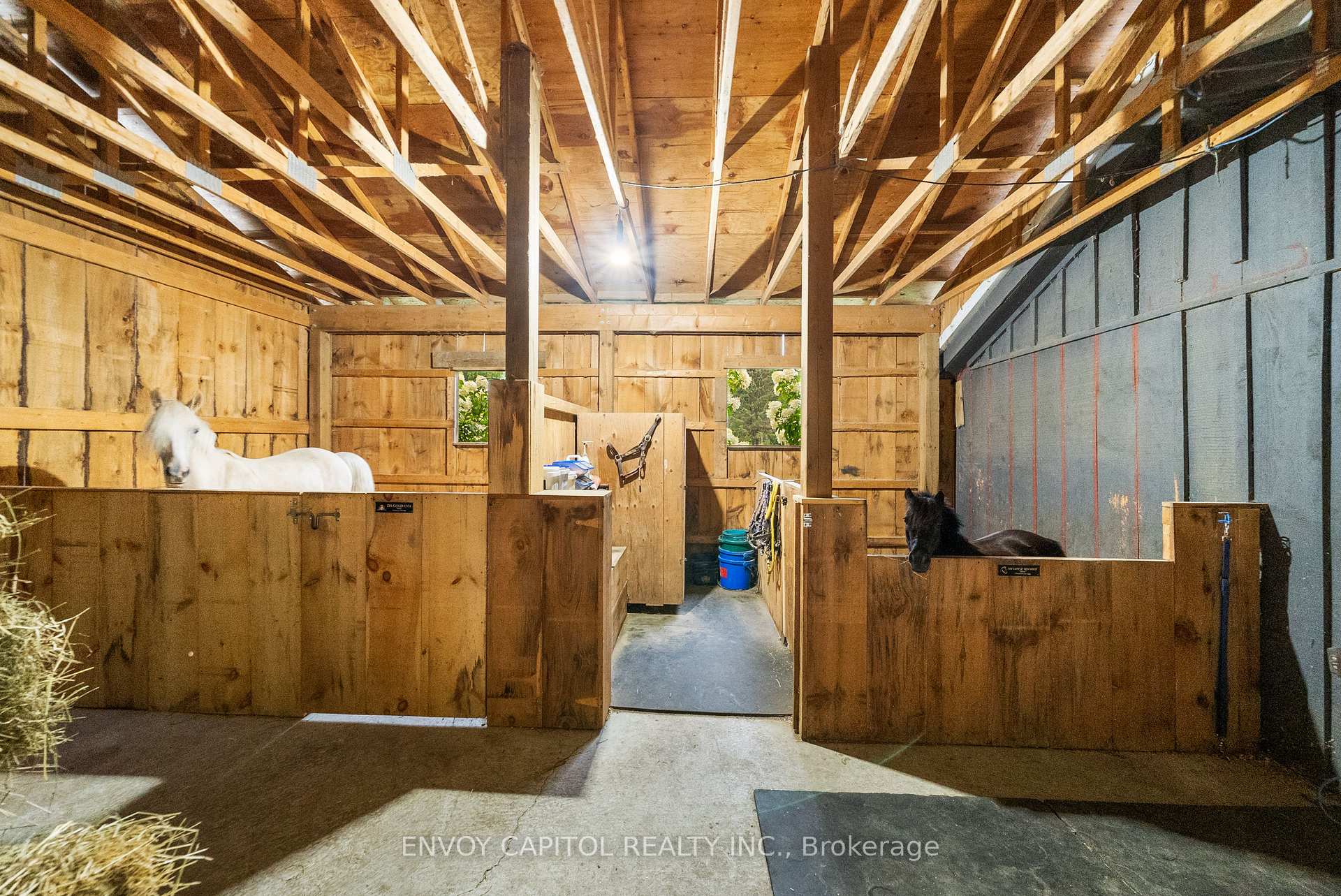 Photo 18 of 11636 6th Line, Milton, Rural Nassagaweya — HOMEH