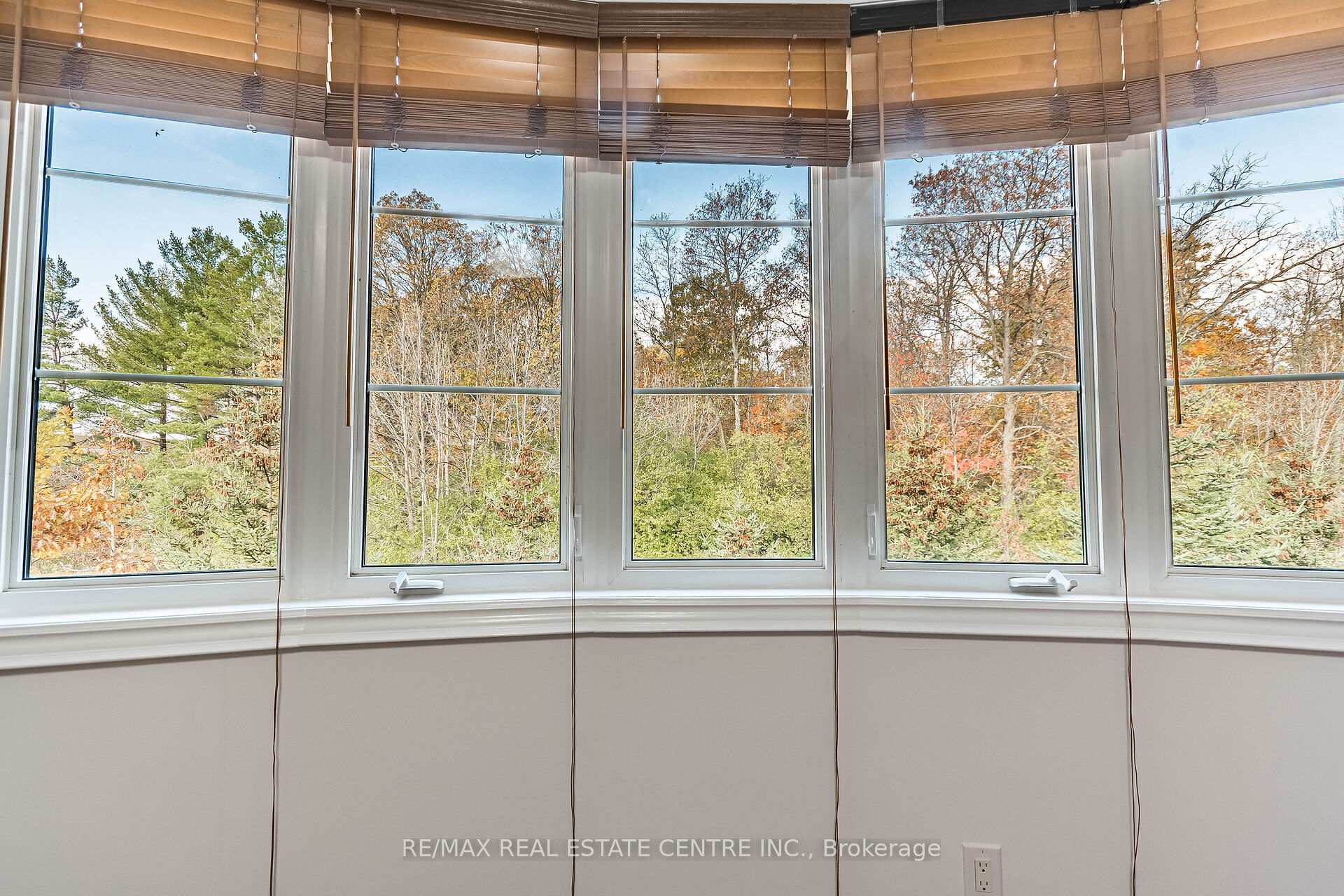 Photo 23 of 931 Syndenham Lane, Milton, Willmott — HOMEH