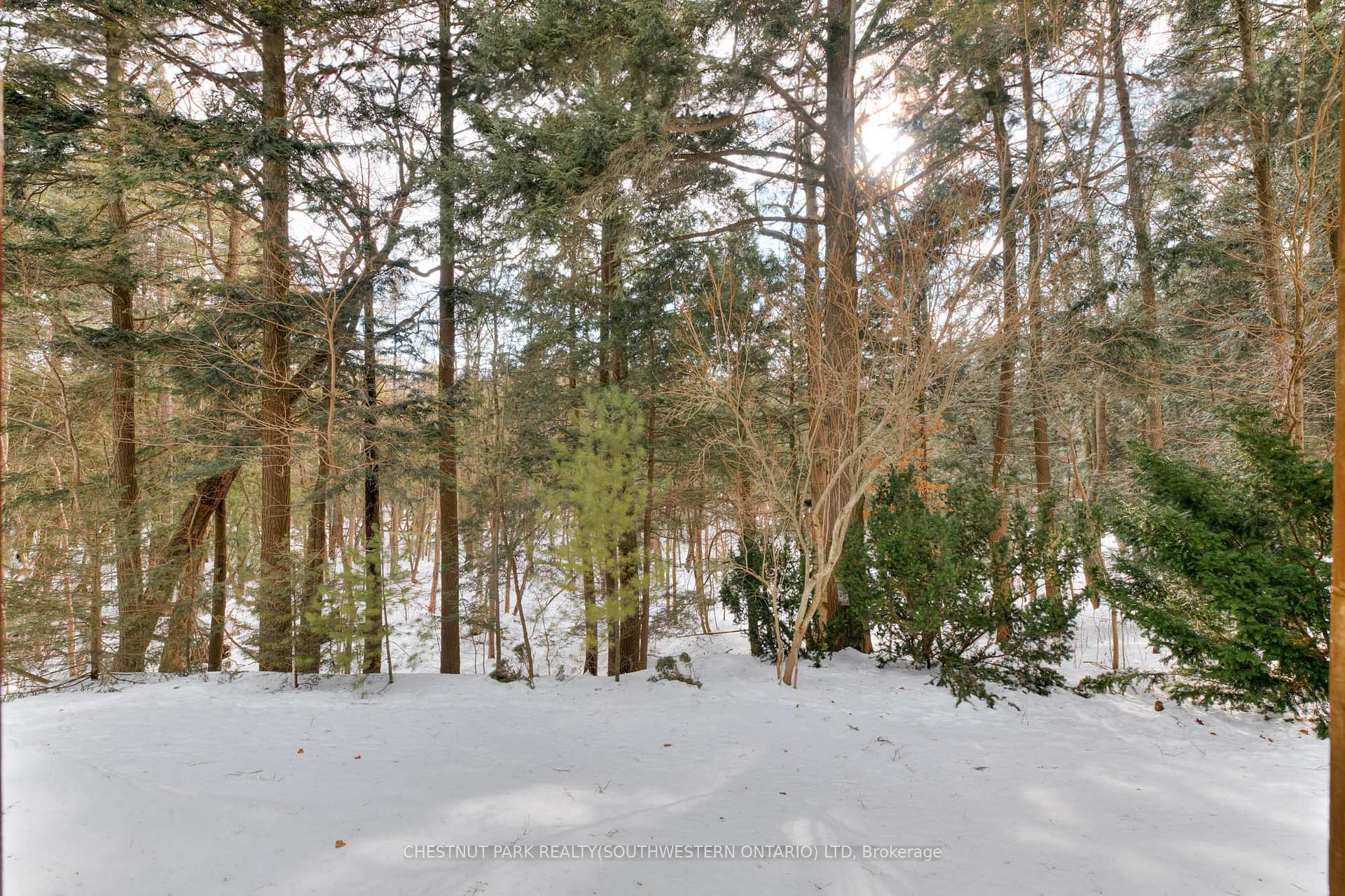 Photo 43 of 105 Sabrina Crescent, Kitchener — HOMEH