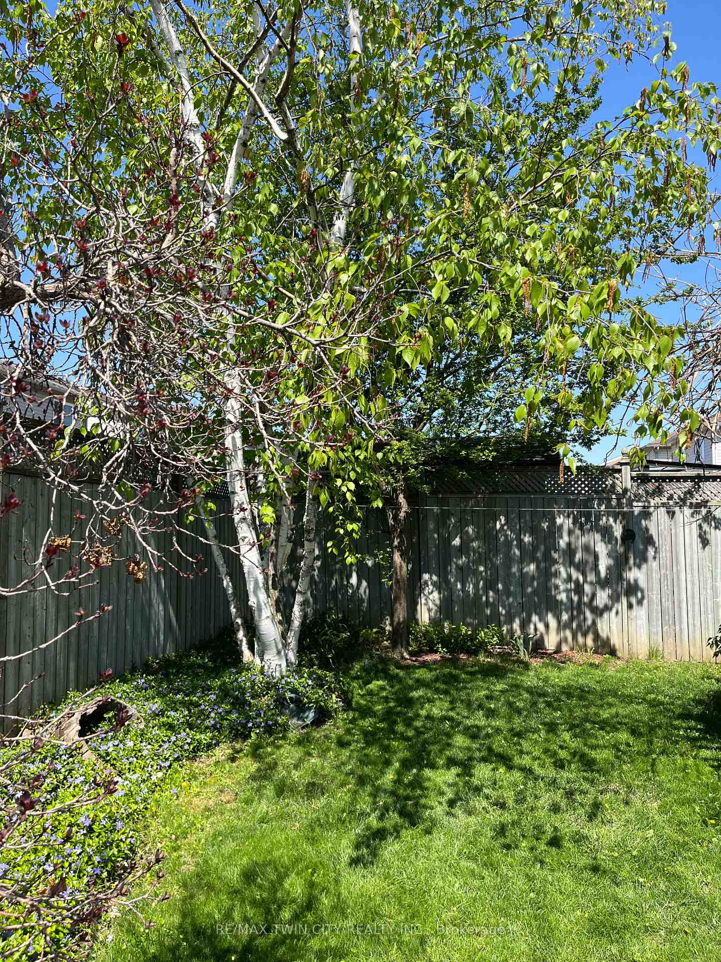 Photo 51 of 111 Cotton Grass Street, Kitchener — HOMEH