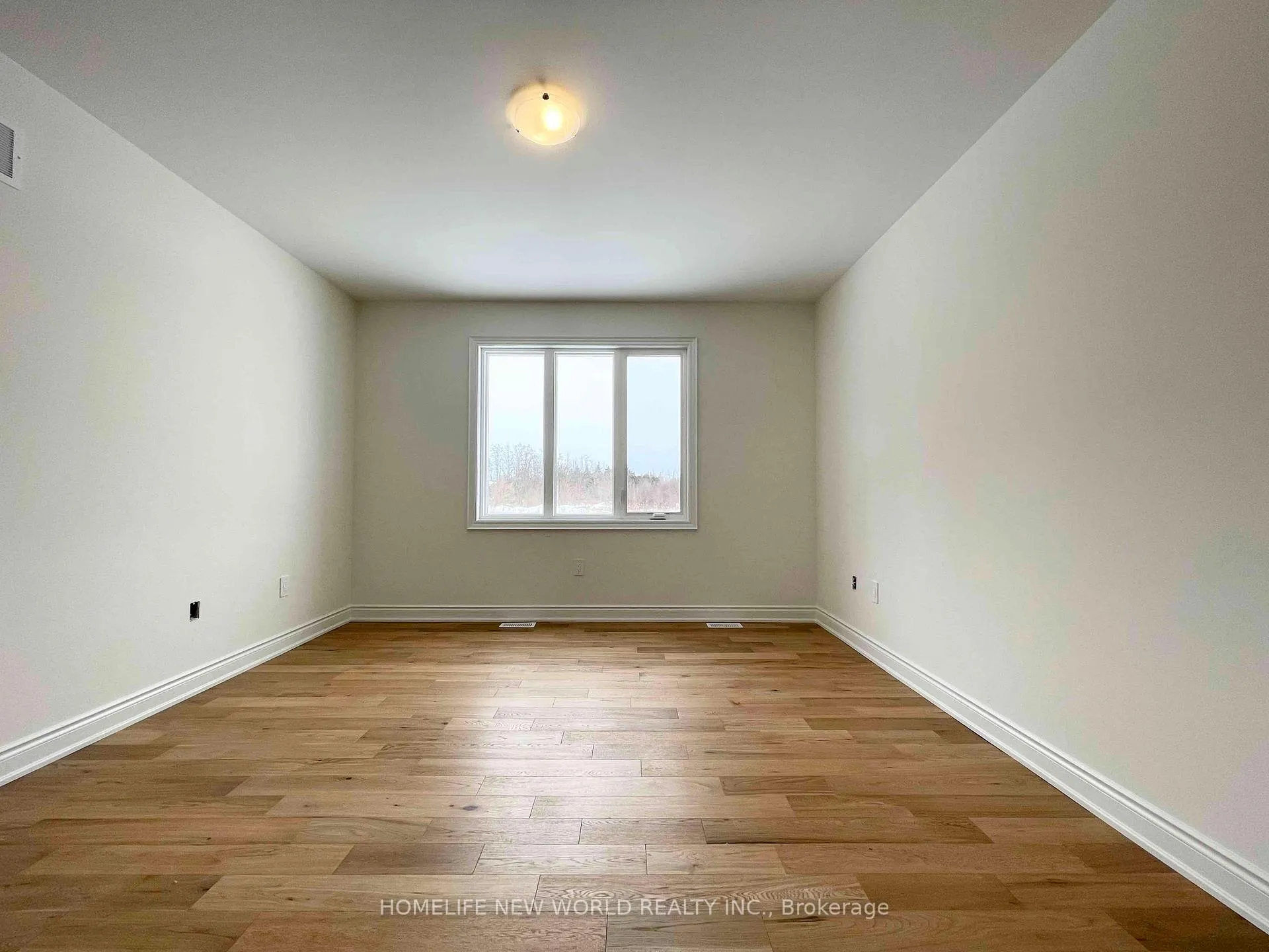 Photo 11 of 65 Schortinghuis Street, Georgina, Belhaven — HOMEH