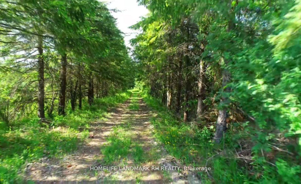 Photo 8 of 4870 Elgin Mills Road E, Markham, Rural Markham — HOMEH