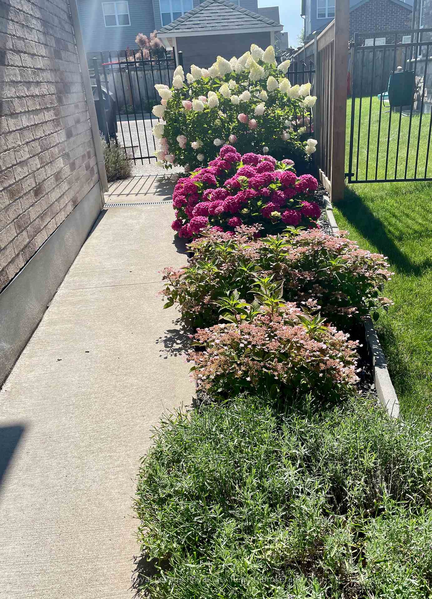 Photo 25 of 213 Tremaine Crescent, Kitchener — HOMEH