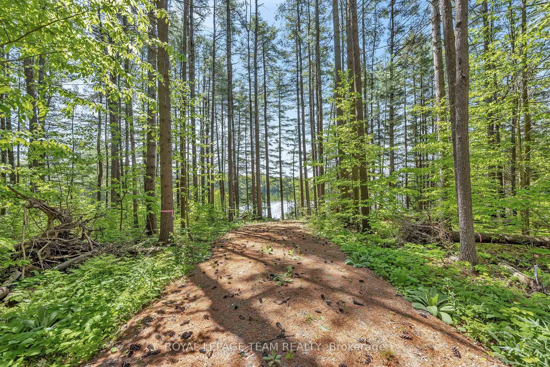 Photo 3 of 1143 Wabalac Road, Lanark Highlands, Lanark Highlands (Darling) Twp — HOMEH