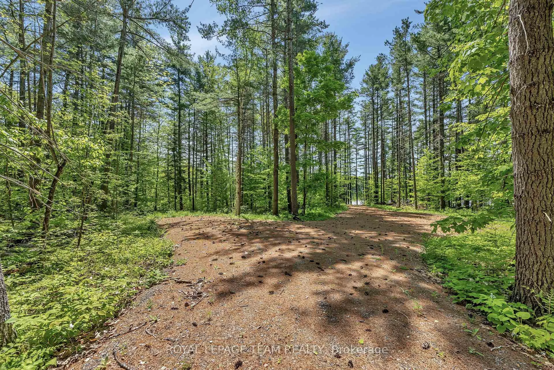 Photo 5 of 1143 Wabalac Road, Lanark Highlands, Lanark Highlands (Darling) Twp — HOMEH