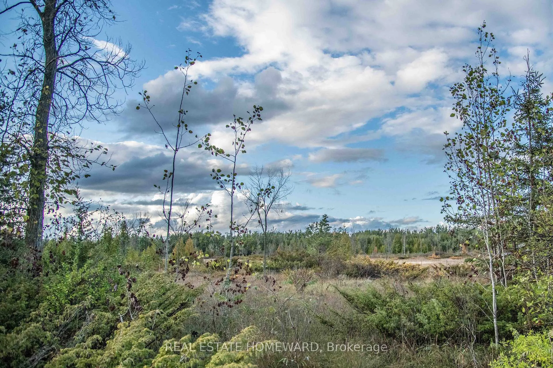 Photo of Lot 254 McGuire Beach Road