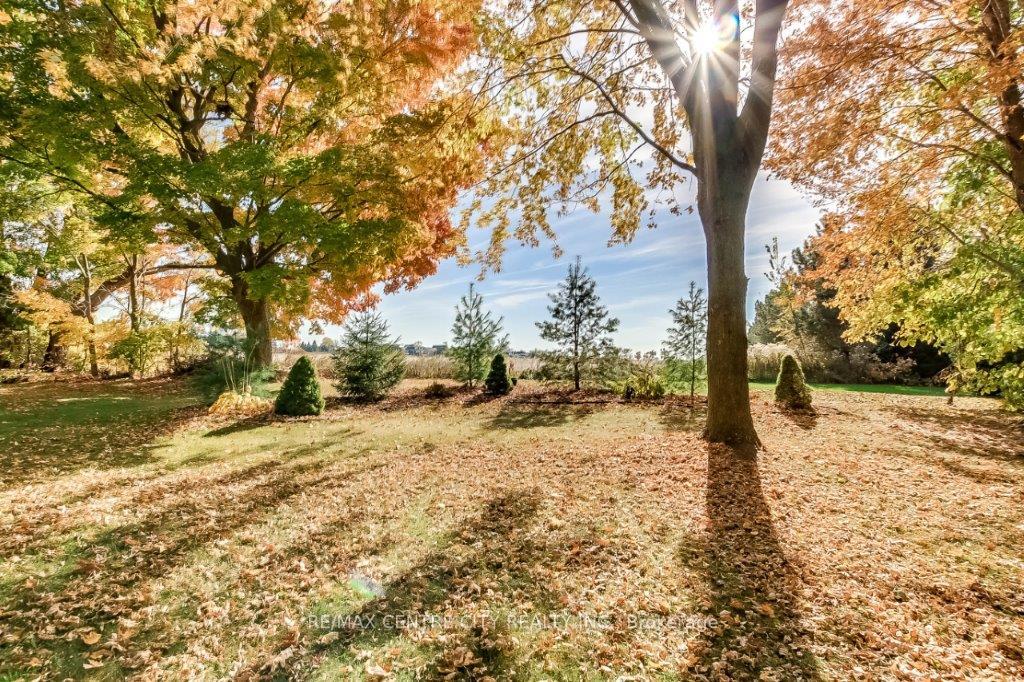 Photo 4 of 117 Brookfield Street, Middlesex Centre, Denfield — HOMEH