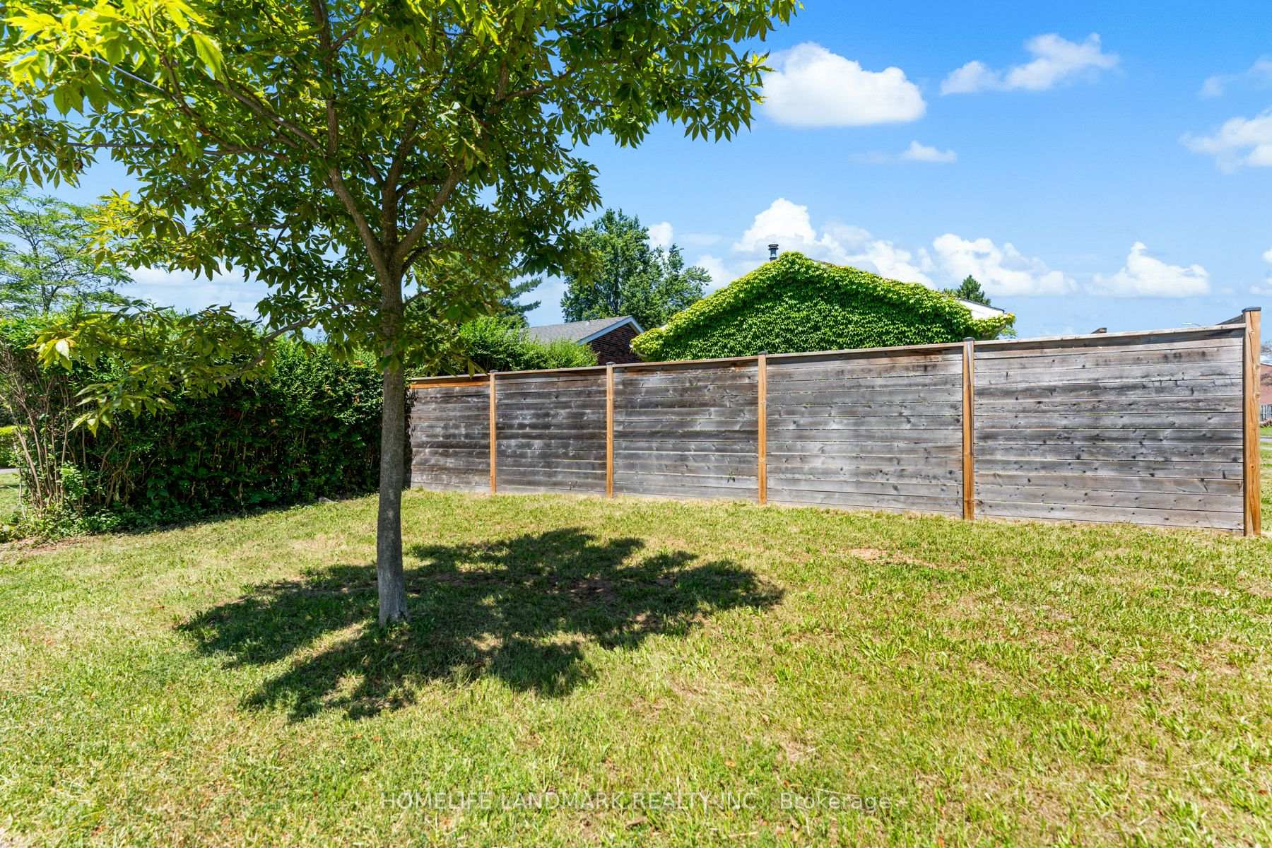 Photo 23 of 55 Cliff Crescent, Kingston, Central City West — HOMEH