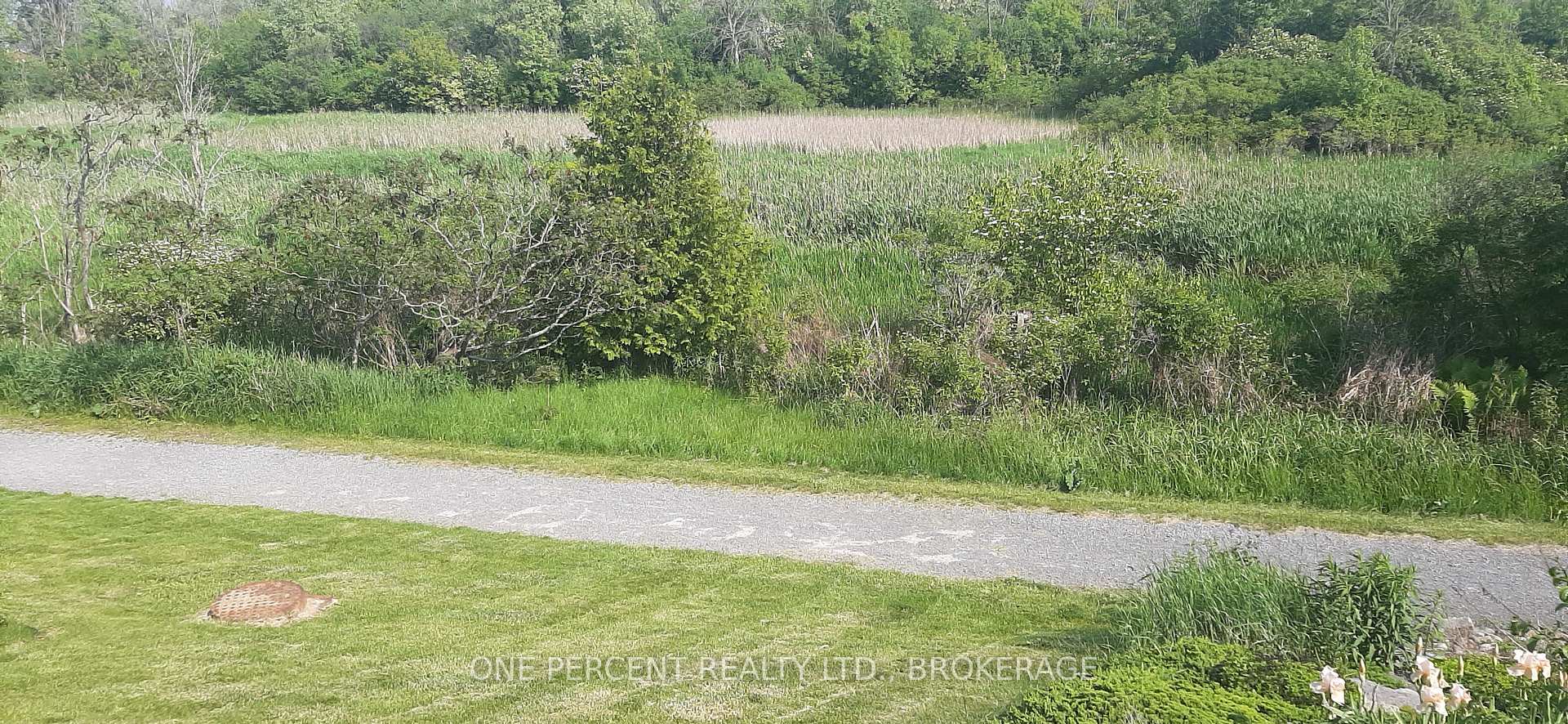 Photo 34 of 441 Dolshire Street, Kingston, East Gardiners Rd — HOMEH