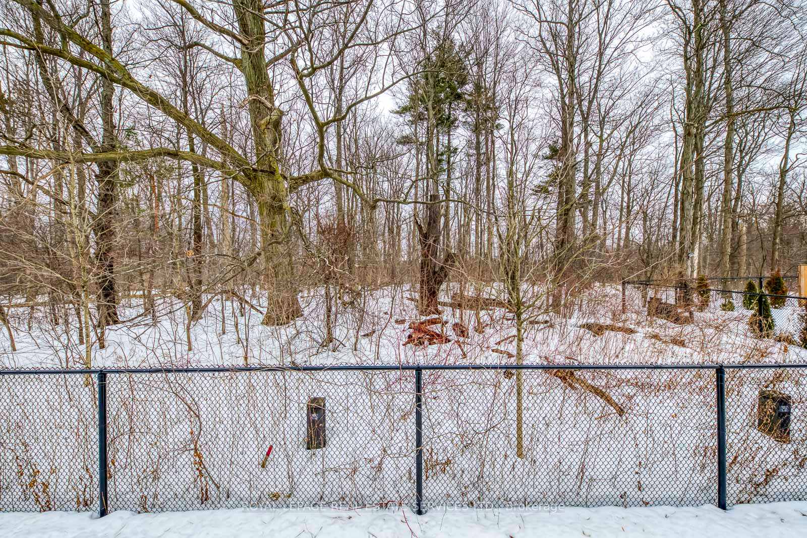 Photo 42 of 49 Burley Lane, Hamilton, Ancaster — HOMEH