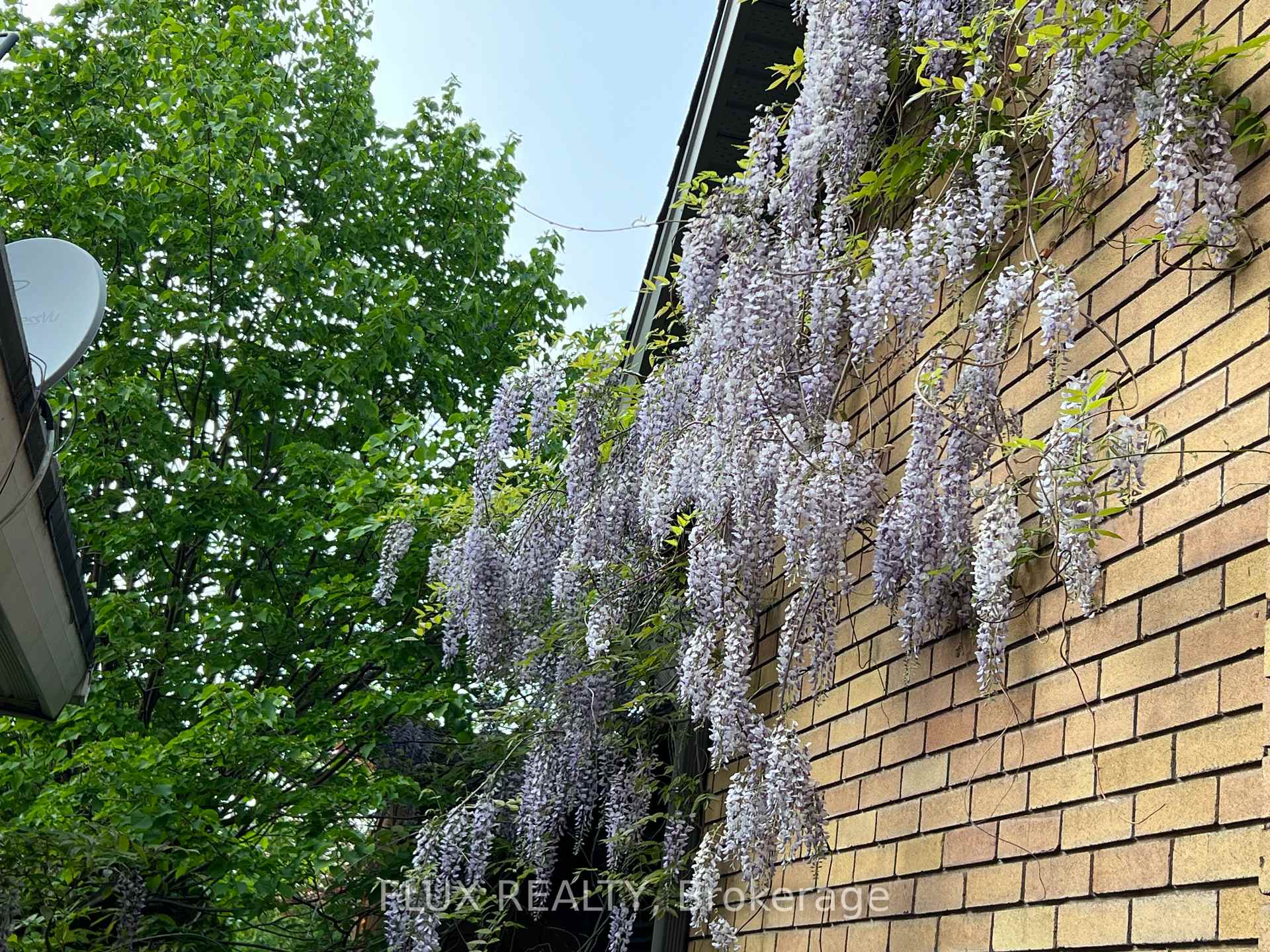 Photo 50 of 36 Perkell Place, Kitchener — HOMEH