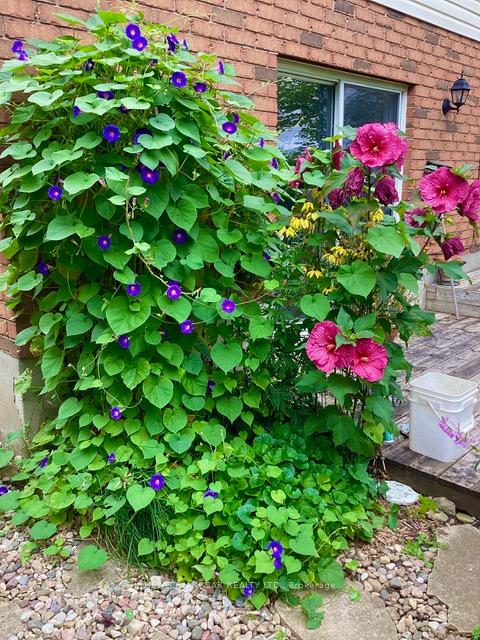 Photo 24 of 962 Glasgow Street, Kitchener — HOMEH