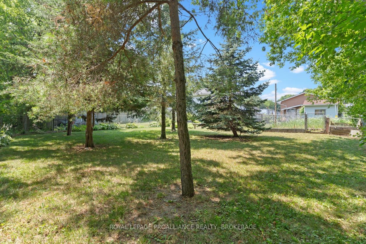 Photo 10 of 15 Shaw Street, Kingston, Rideau — HOMEH