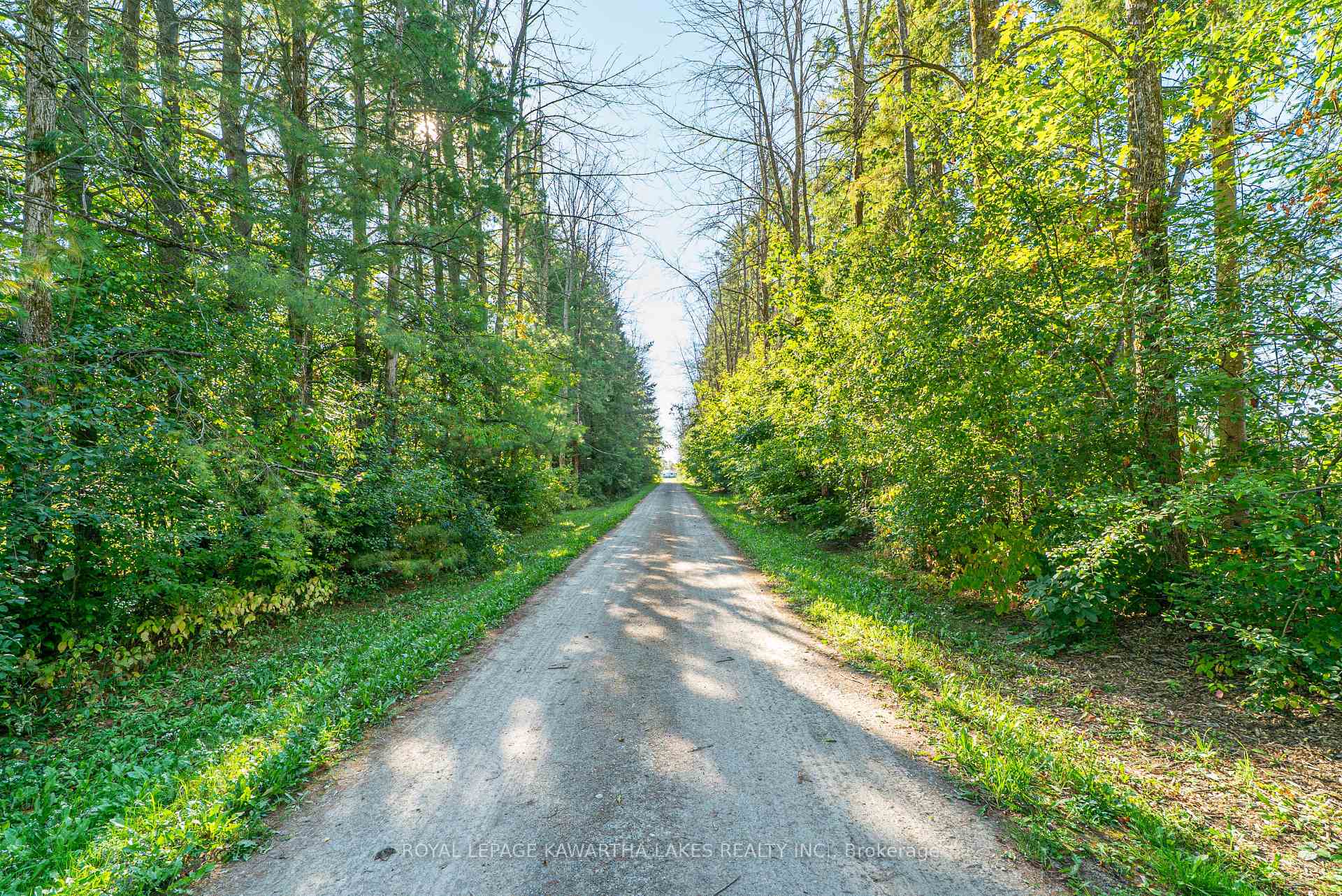 Photo 4 of 979 Linden Valley Road, Kawartha Lakes, Woodville — HOMEH