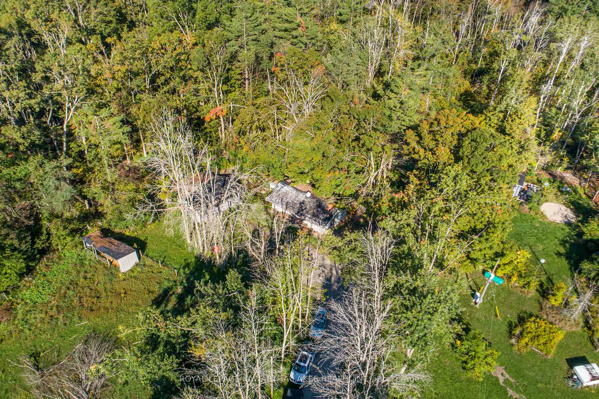 Photo 38 of 979 Linden Valley Road, Kawartha Lakes, Woodville — HOMEH