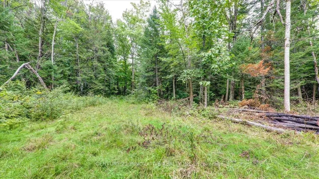 Photo 4 of 791 Mount Horeb Road, Kawartha Lakes, Omemee — HOMEH