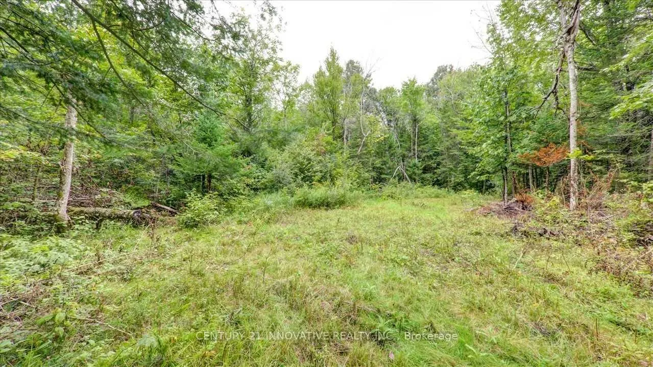 Photo 5 of 791 Mount Horeb Road, Kawartha Lakes, Omemee — HOMEH