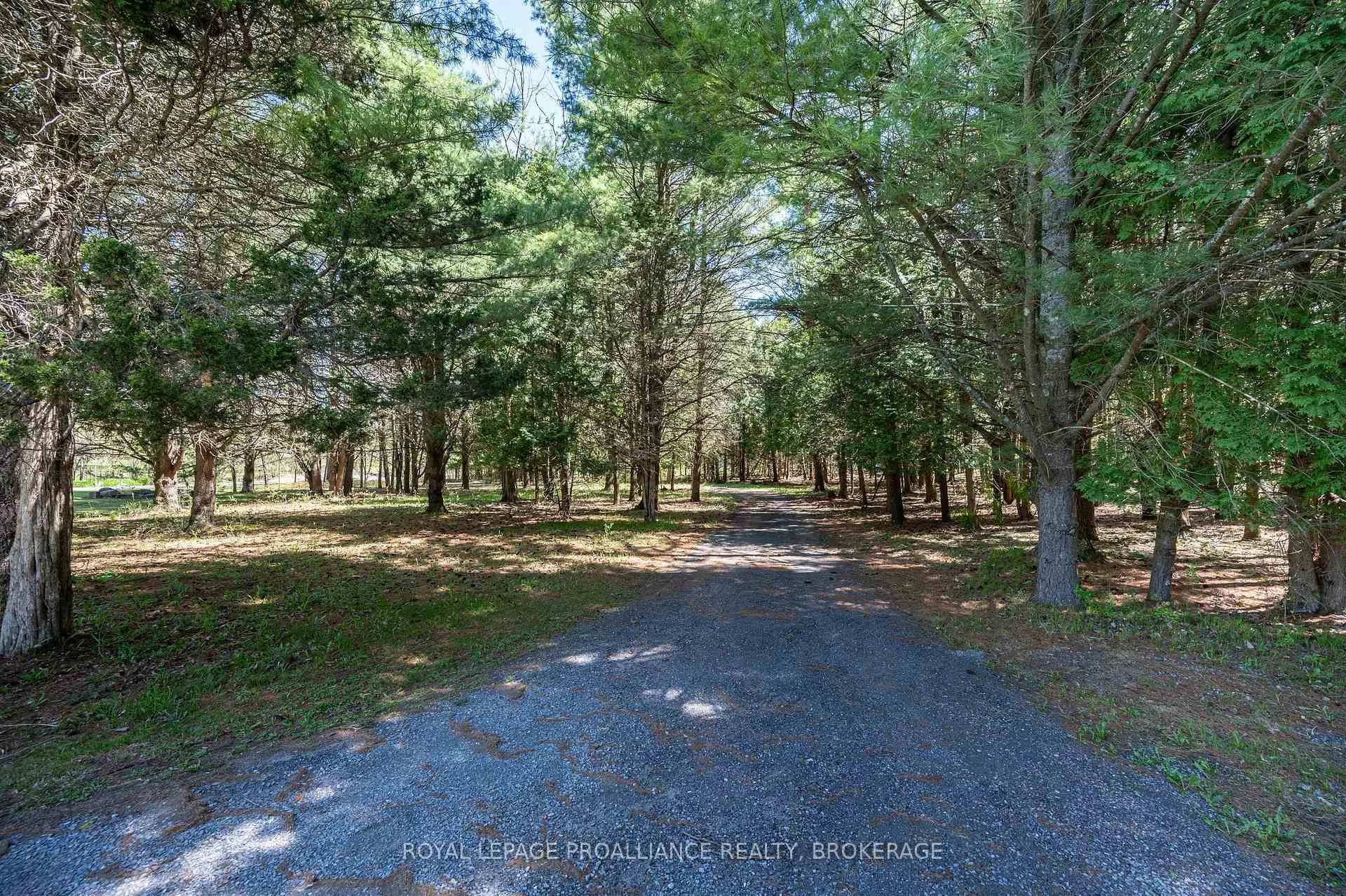 Photo 47 of 1800 Radage Road, Kingston, City North of 401 — HOMEH