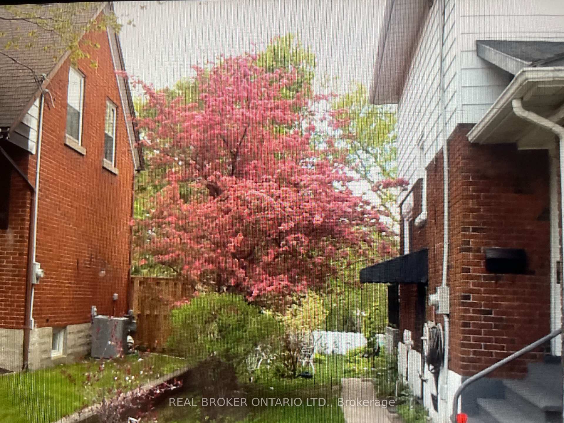 Photo 44 of 60 Blucher Street, Kitchener — HOMEH