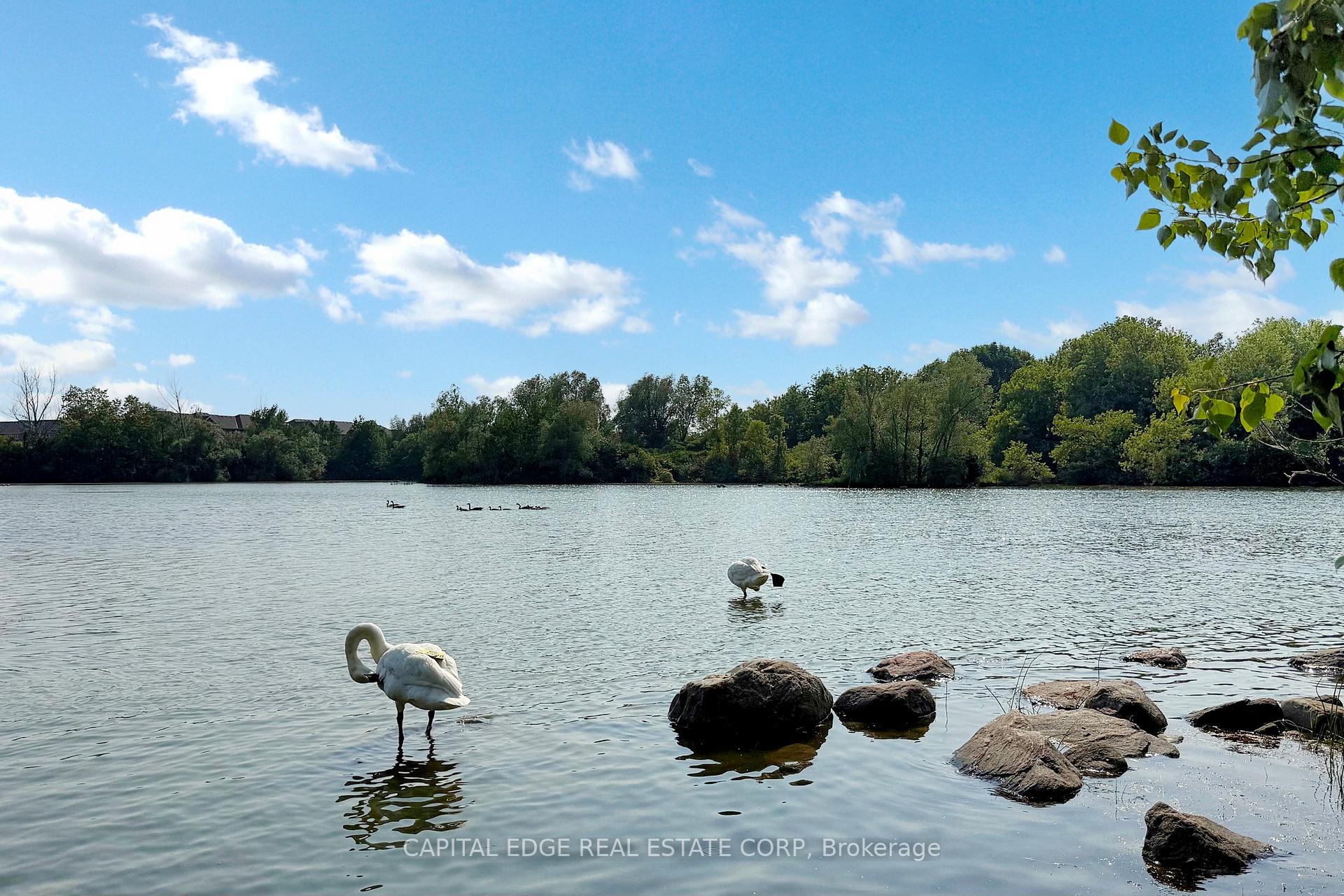 Photo 30 of 30 Swan Park Road, Markham, Greensborough — HOMEH