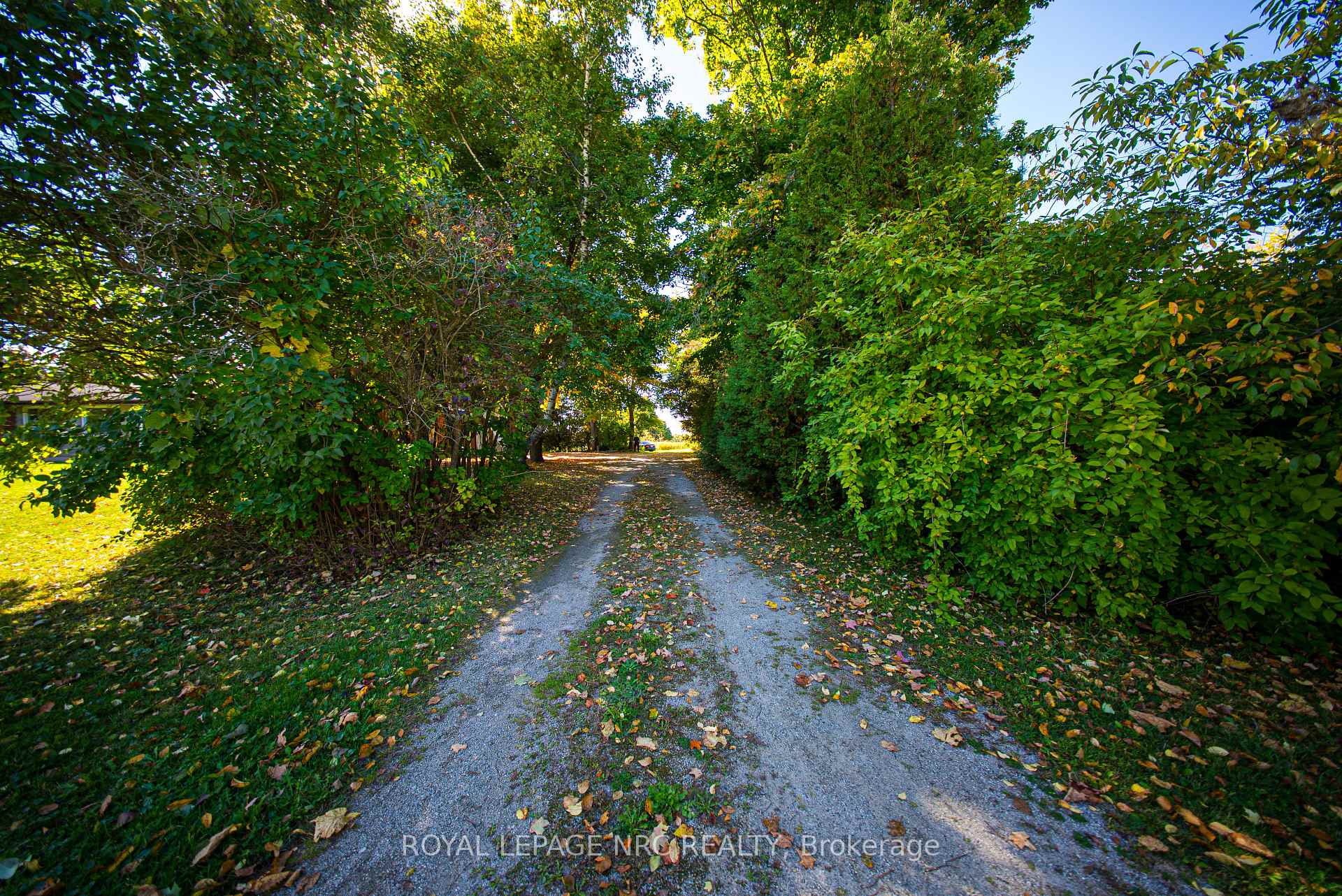 Photo 14 of 8334 Guelph Line, Milton, Rural Milton West — HOMEH