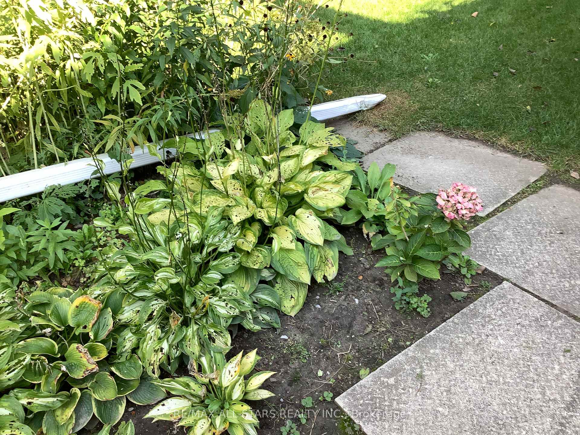 Photo 47 of 125 Fred Varley Drive, Markham, Unionville — HOMEH