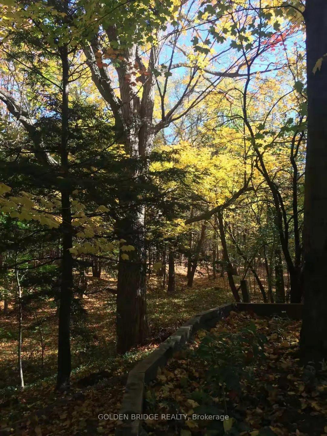 Photo 13 of 14 Cachet Parkway, Markham, Devil's Elbow — HOMEH
