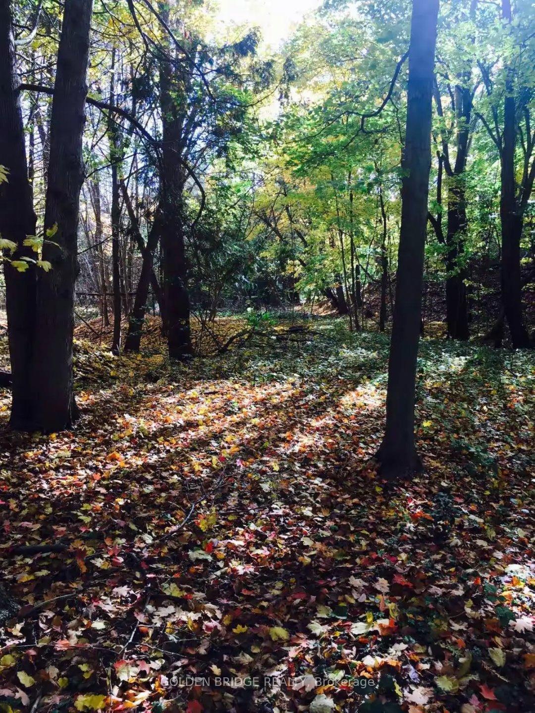 Photo 14 of 14 Cachet Parkway, Markham, Devil's Elbow — HOMEH