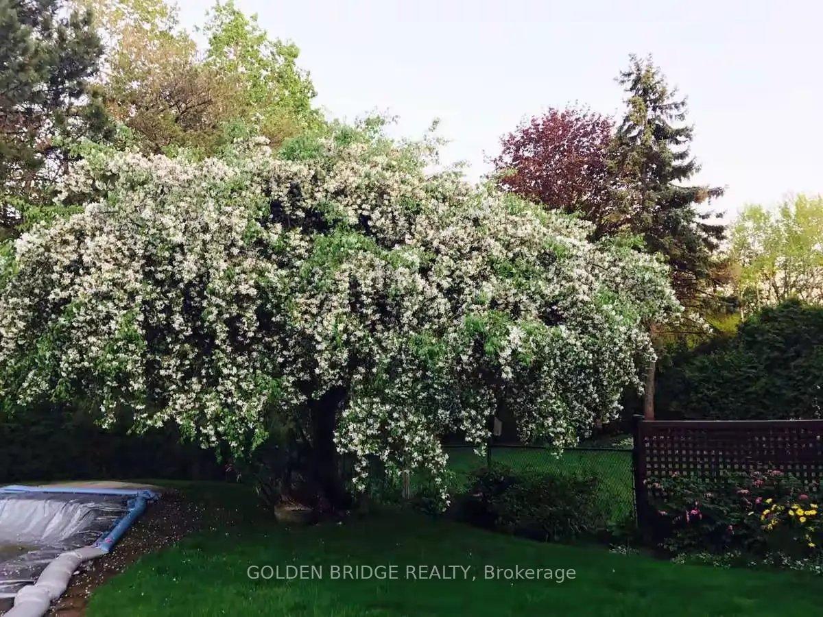 Photo 17 of 14 Cachet Parkway, Markham, Devil's Elbow — HOMEH