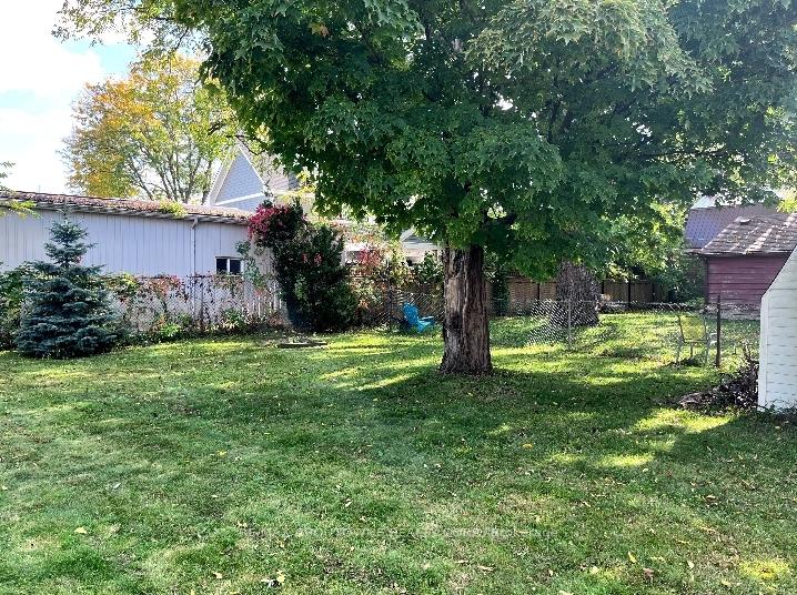 Photo 5 of 88 Robert Street, Milton, Old Milton — HOMEH