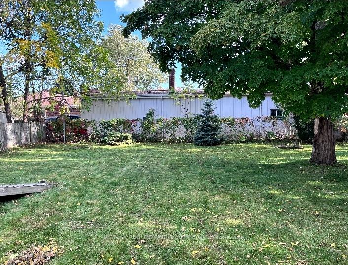 Photo 6 of 88 Robert Street, Milton, Old Milton — HOMEH