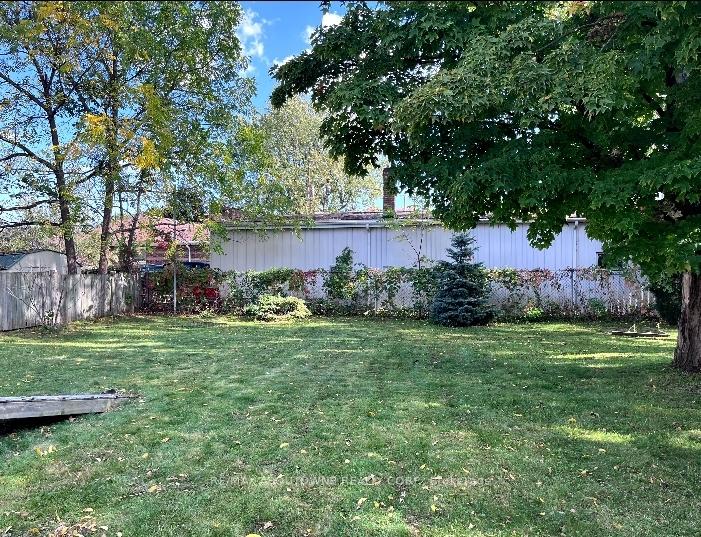 Photo 12 of 88 Robert Street, Milton, Old Milton — HOMEH