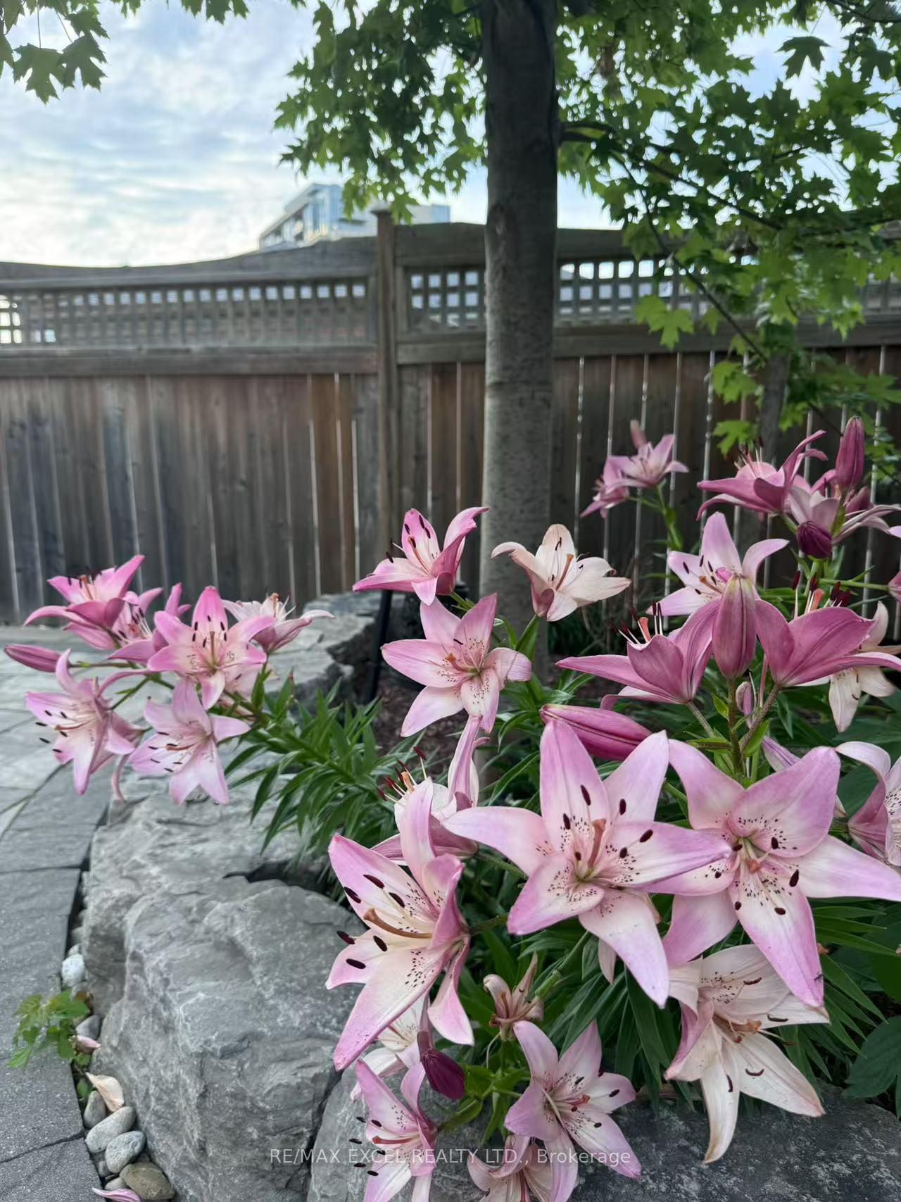 Photo 50 of 11 Unity Gardens Drive, Markham, Village Green-South Unionville — HOMEH
