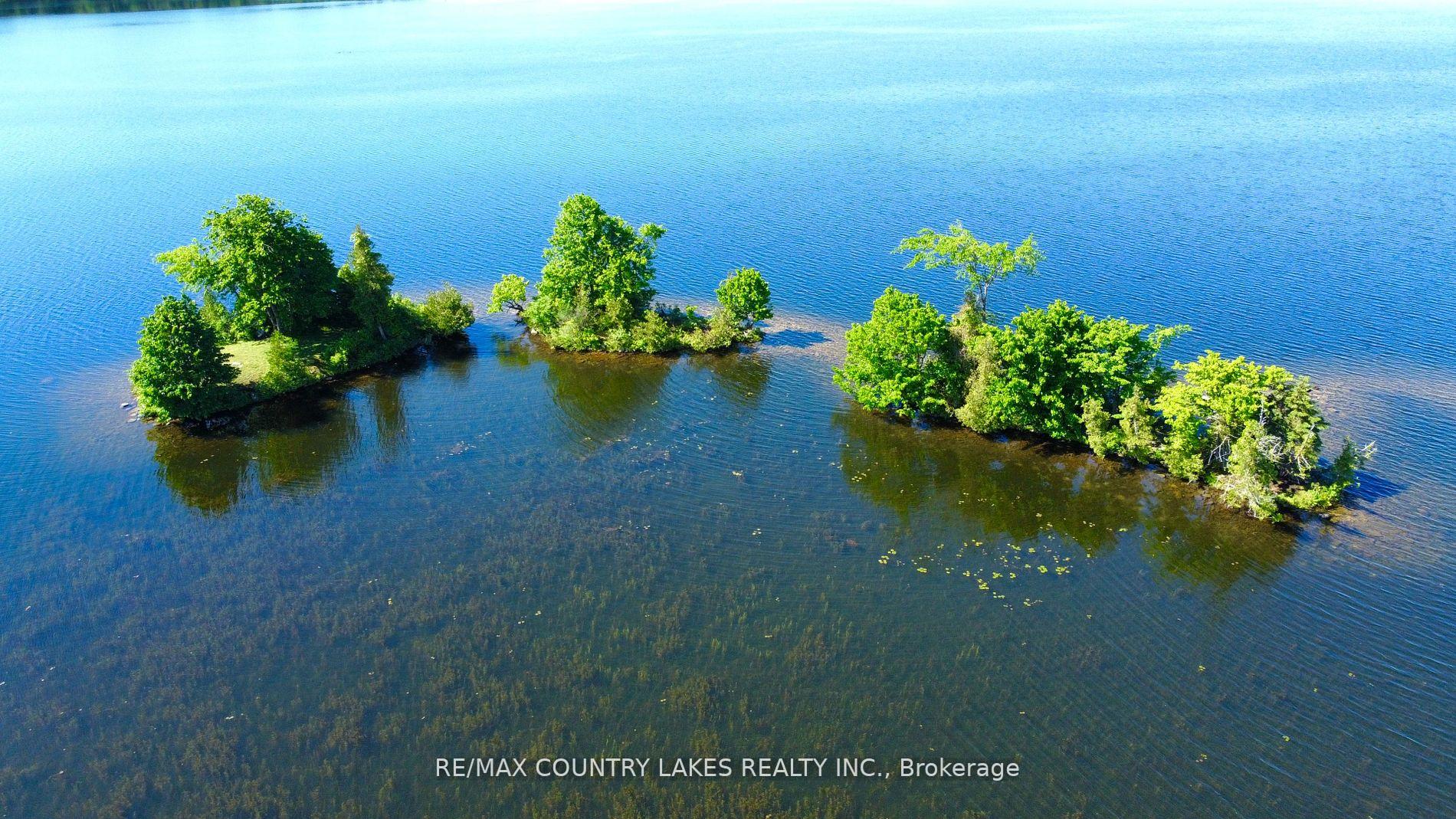 Photo 1 of Lt 1 Island, Kawartha Lakes, Carden — HOMEH